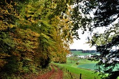 Spätherbstliche Farben in der «Bogeten». (Bild: Josef Habermacher, Rickenbach, 3. November 2019)