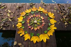 Herbst-Mandala (Bild: Priska Ziswiler-Heller, 1. November 2019, Soppensee)