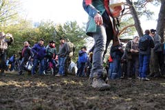 Wetterfeste Schuhe braucht es. (Bild: Urs Hanhart, Rütli, 6. November 2019)