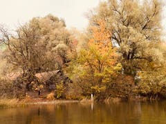 Wunderbare Stimmung mittags am Sarnersee, fotografiert beim Steg des Ruderclubs Sarnen. (Bild: Sandra Ming, Sarnen, 4. November 2019)