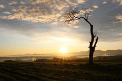 «Morgenstund hat Gold im Mund, auf dem Bodenberg. PS: Bei der Kamera hatte ich immer noch die Sommerzeit eingestellt» (Bild: Irene Wanner, Zell, 7. November 2019)
