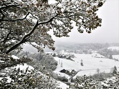 Herrliche Winterlandschaft. (Bild: Urs Gutfleisch, Schwarzenberg, 8. November 2019)