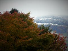 Ein bisschen Herbst und und auch schon ein bisschen Winter. (Bild: Margrith Imhof-Röthlin, Meggen, 8. November 2019)