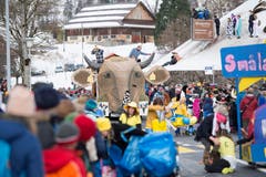 Bild: Maria Schmid (Morgarten, 9. Februar 2019)