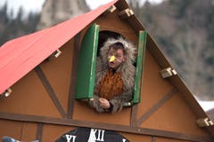 Bild: Maria Schmid (Morgarten, 9. Februar 2019)