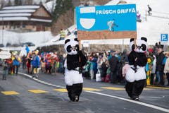 Bild: Maria Schmid (Morgarten, 9. Februar 2019)