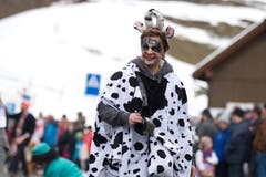 Bild: Maria Schmid (Morgarten, 9. Februar 2019)