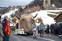 Bild: Maria Schmid (Morgarten, 9. Februar 2019)