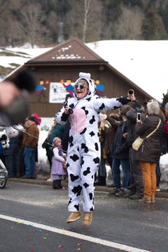 Bild: Maria Schmid (Morgarten, 9. Februar 2019)