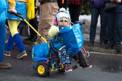 Bild: Maria Schmid (Morgarten, 9. Februar 2019)