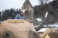 Bild: Maria Schmid (Morgarten, 9. Februar 2019)