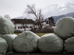 Ein zerstörter Baum nach dem Sturm «Uwe». (Bild: KEYSTONE/GIAN EHRENZELLER)