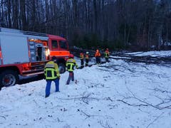 Die Feuerwehr Sennwald musste einige Bäume von Strassen räumen, hier war das Gebiet Rütene betroffen. (Bild: Feuerwehr Sennwald)