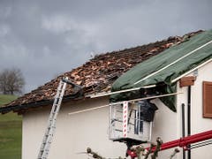 Ein Handwerker repariert ein abgedecktes Dach. (Bild: KEYSTONE/GIAN EHRENZELLER)