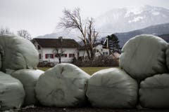 (Bild: Keystone/Gian Ehrenzeller)