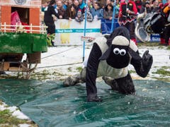 Das Kinderwagenrennen in Dietfurt findet nur alle vier Jahre statt. Rund 2000 Besucherinnen und Besucher liessen sich das Schauspiel nicht entgehen. (Bild: Sascha Erni, 10. Februar 2019)