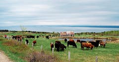 Wasserreiche Landschaften prägen die Region Charlevoix. (Bild: Gerd Braune)