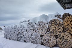 Eingefrorene Wärme: Holzbeigen in Eggersriet. (Bild: Hans-Jörg Nüesch