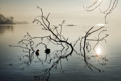 Die Morgenstille am Zugersee. (Bild: Anita Imfeld-Leu, Zug, 15. Februar 2019)