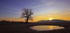 Ein prächtiger Februartag kündigt sich an. Sanft streichen die ersten Sonnenstrahlen über das Moos. (Bild: André Egli, Wauwilermoos, 15. Februar 2019)