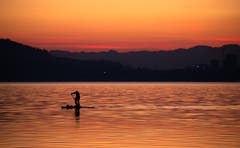 Alleine unterwegs im Abendrot. (Bild: Daniel Hegglin, Zug, 14. Februar 2019)