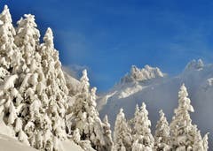 Unterwegs auf dem Schneeschuhpfad Grotzliwäg. (Bild: Hans Burch, Engelberg, 12. Januar 2019)