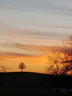 Sonnenuntergang in Hauptwil. (Bild: Reto Schlegel)