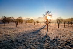 Ein frostiger Morgen in Neuenkirch. (Bild: Franziska Müller, Neuenkirch, 16. Februar 2019)