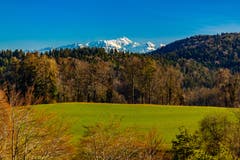 Frühlingsstimmung auf dem Föhrenberg mit Sicht auf den Säntis. (Bild: Matthias Rozinek)