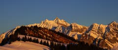 Abendlicher Blick von der Gössigenhöhe über den Hinterfallenkopf zum Säntis. (Bild: Peter Arnheiter)