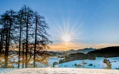 Guten Morgen Lutzenland. (Bild: Luciano Pau)