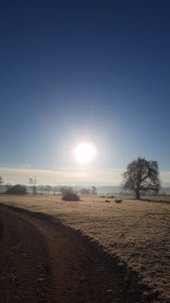 Frühlingsgefühle in Zihlschlacht. (Bild: Marlies Steinemann)