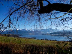 Frühling im Winter: Blick vom Utenberg in die Voralpen – fast schon vorsommerliche Wärme, erste zaghafte Blütenknospen an den Zweigen. Und Schnee nur noch weit entfernt in hohen Lagen. (Bild: Heinz Schürmann (Utenberg, 17. Februar 2019))