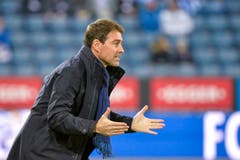 Im Juni 2018 vermeldete der FC Luzern dann die Verpflichtung von Rene Weiler als neuen Chefcoach. Am Sonntag, 17. Februar 2019 wurde er per sofort freigestellt.(Martin Meienberger/freshfocus)