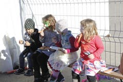 Kinderfasnacht in Nesslau. (Bild: Fränzi Göggel, 16.02.2019)