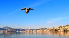 Flugwetter über dem Luzerner Seebecken. (Bild: Walter Buholzer, Luzern, 15. Februar 2019)