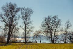 Das warme Grün des Feldes steht im Kontrast zum kalten Blau des Winters. (Bild: Erich Würgler (Zug, 18. Februar 2019))