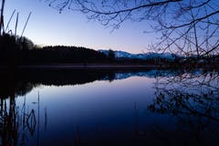 Der Steinibüehlweiher in Sempach zur blauen Stunde. (Bild: Daniel Aegerter, Sempach, 17. Februar 2019)