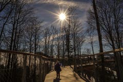 Ausflug zum Baumwipfelpfad bei schönstem Sonnenschein. (Bild: Daniel Bisang)