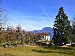 Die Villa Krämerstein mit der Baumallee am Seebecken des Vierwaldstättersees. (Bild: Urs Gutfleisch, Horw, 20. Februar 2019)
