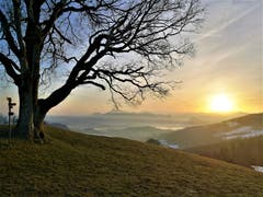 Wunderbarer Sonnenaufgang mit Blick auf die Rigi. (Bild: Urs Gutfleisch, Holderchäppeli, 20. Februar 2019)