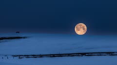 Gute Nacht, lieber Mond. Der Mond legt sich zur Ruh bei Hinterhof, Herisau. (Bild: Luciano Pau)