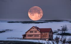 Der Supermond bei Hinterhof in Herisau. (Bild: Luciano Pau)