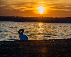 Einer der vielen wunderschönen Sonnenuntergänge der letzten Woche(n). (Bild: Raymond Bieri, Zug, 18. Februar 2019)