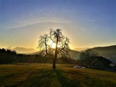 Wunderbarer Sonnenaufgang in der Naturlandschaft. (Bild: Urs Gutfleisch, Malters, 21. Februar 2019)