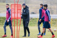 Der neue FCL-Trainer Thomas Häberli bei seinem ersten Arbeitstag. (Bild: Martin Meienberger/freshfocus)