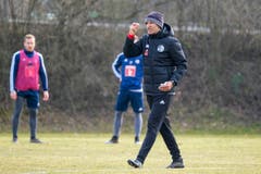 Der neue FCL-Trainer Thomas Häberli bei seinem ersten Arbeitstag. (Bild: Martin Meienberger/freshfocus)