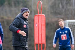 Der neue FCL-Trainer Thomas Häberli bei seinem ersten Arbeitstag. (Bild: Martin Meienberger/freshfocus)