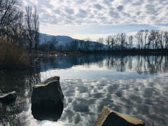 Wolkenspiegelung im alten Rhein bei Diepoldsau. (Bild: Toni Sieber)