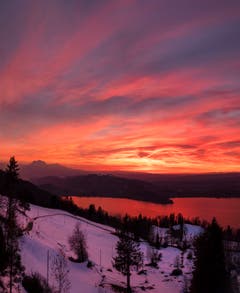 Erneut zeigt sich über dem Zugersee ein wunderschönes Farbenspiel. (Bild: Moritz Helpferer, Zugerberg, 23. Februar 2019)